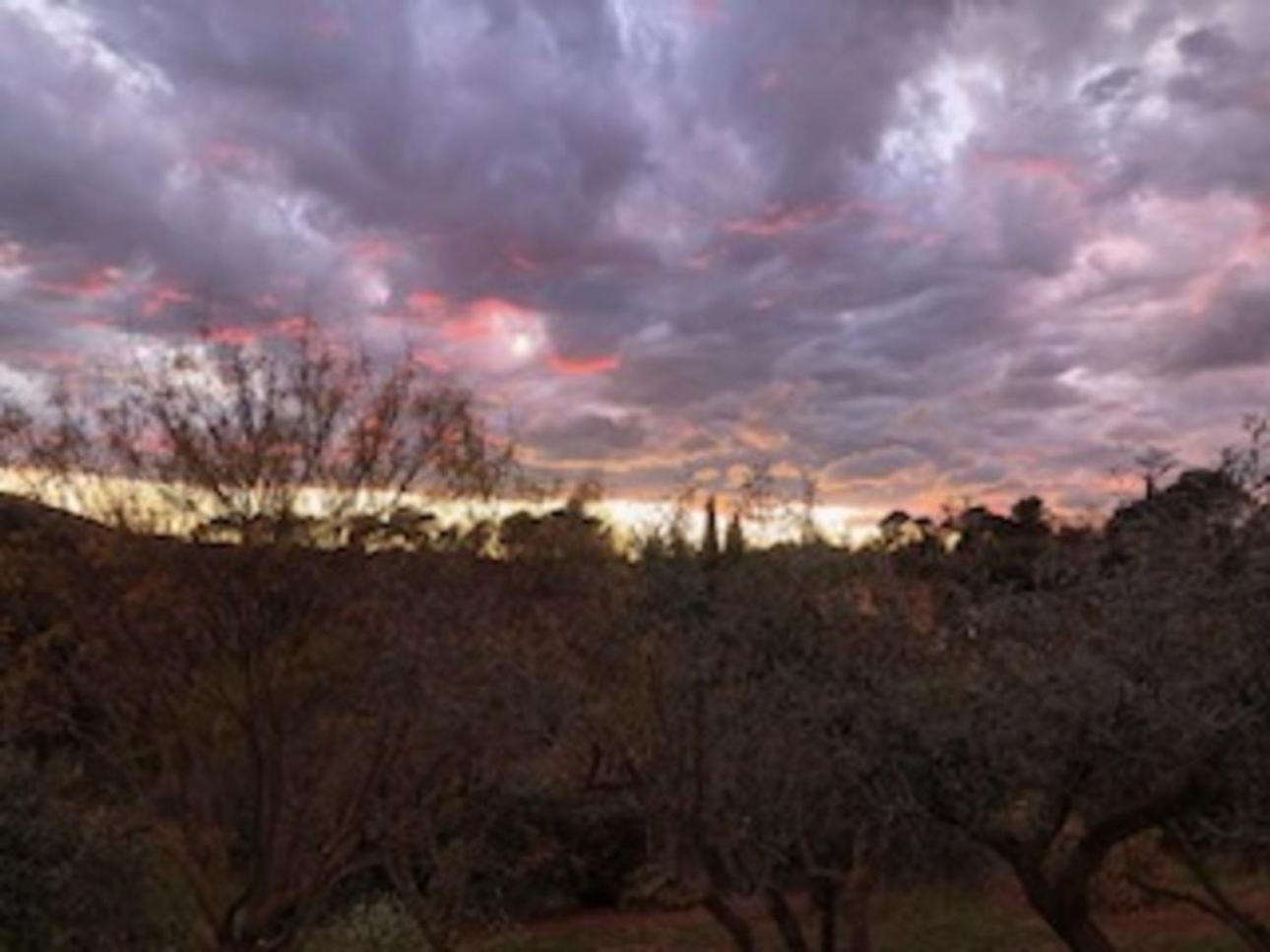 Bastide Saint Bernard Bed & Breakfast Le Thoronet Eksteriør bilde