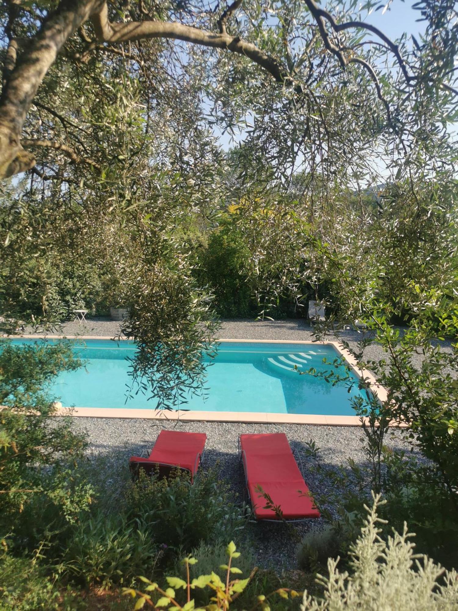 Bastide Saint Bernard Bed & Breakfast Le Thoronet Eksteriør bilde