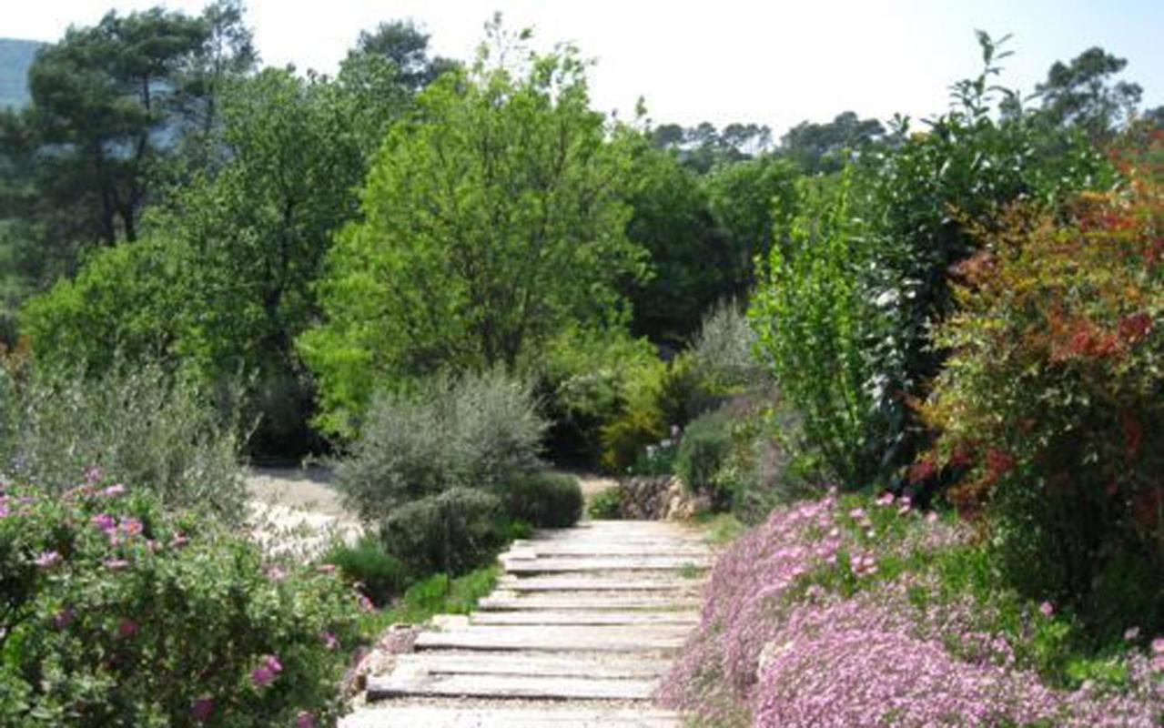 Bastide Saint Bernard Bed & Breakfast Le Thoronet Eksteriør bilde